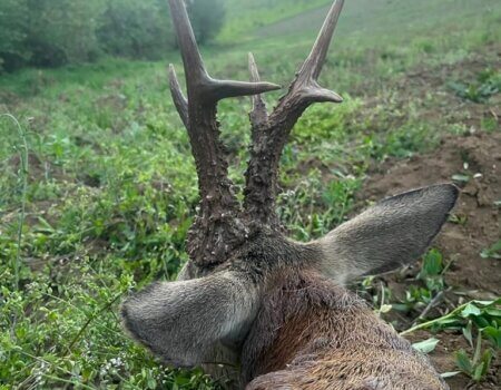 wta_2331_WhatsApp Image 2023-05-04 at 17.55.22