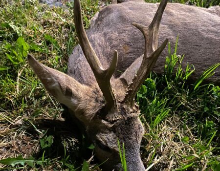 wta_2331_WhatsApp Image 2023-05-04 at 17.55.23