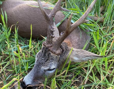 wta_2331_WhatsApp Image 2023-05-04 at 17.55.24