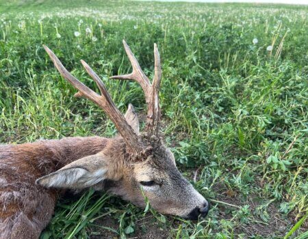 wta_2331_WhatsApp Image 2023-05-04 at 17.55.25