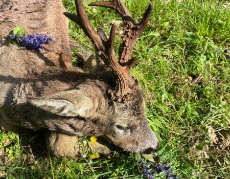 wta_2331_WhatsApp Image 2023-05-04 at 17.55.26