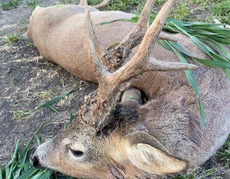 wta_2331_WhatsApp Image 2023-05-21 at 12.22.53