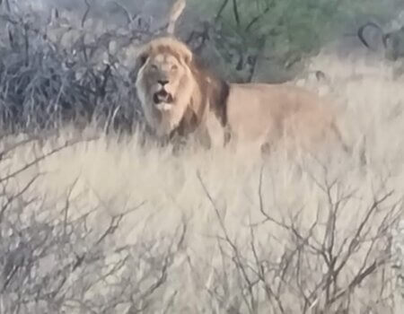 wta_2332_PHOTO-202 (14)