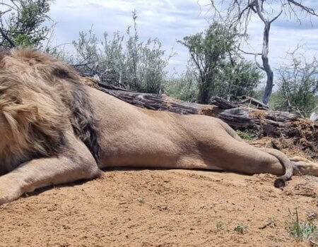 wta_2332_PHOTO-202 (17)