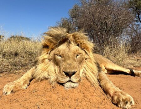 wta_2332_PHOTO-202 (19)