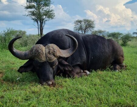 wta_2332_PHOTO-202 (20)