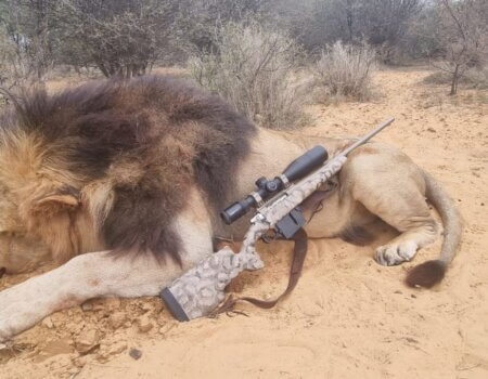 wta_2332_PHOTO-202 (22)