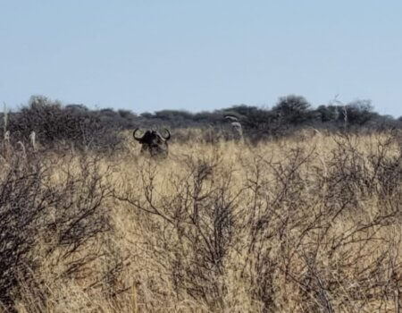 wta_2332_PHOTO-202 (23)