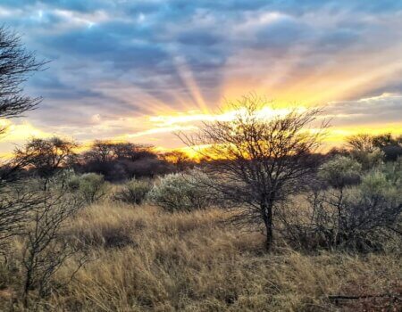 wta_2332_PHOTO-202 (25)