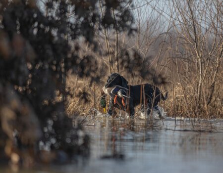 wta_2334_Arkansas12.21.24-10