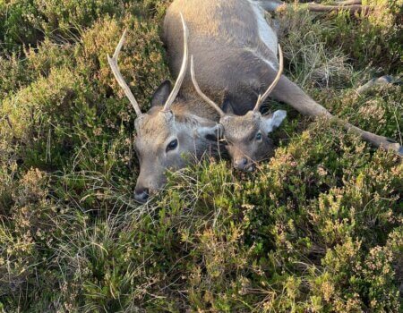 wta_2342_6fa9137f-425c-4db1-9e85-8f56f2c01dda