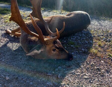 wta_2342_7de3fd6d-77b3-423b-a431-aa5ffde3e563