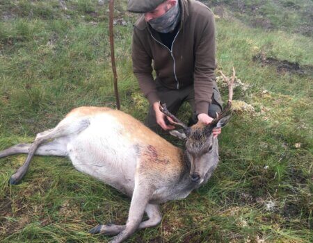 wta_2342_WhatsApp Image 2024-07-01 at 20.24.45