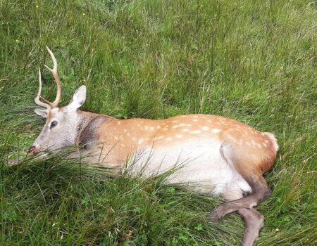 wta_2342_WhatsApp Image 2024-07-01 at 20.24.45 (6)