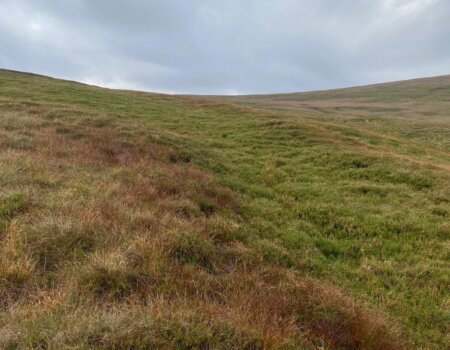 wta_2342_WhatsApp Image 2024-07-01 at 20.24.46 (4)