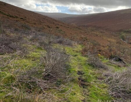 wta_2342_WhatsApp Image 2024-07-01 at 20.24.47 (4)