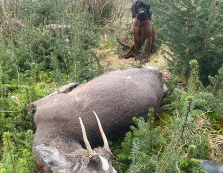 wta_2342_WhatsApp Image 2024-07-01 at 22.18.15