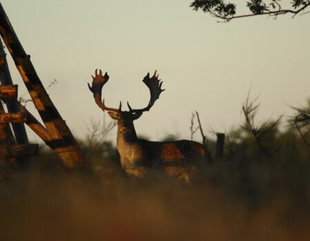 wta_2344_10-10-2010 (257)