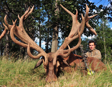 wta_2344_2011_1_Red stag_292-CIC-pts-Gold Medal-35 tines_Johan H