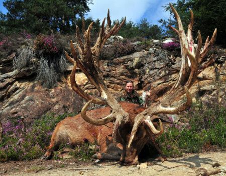 wta_2344_2011_2_Red stag_263-CIC-pts-32 tines-Gold Medal_Christine G