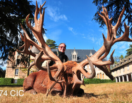 wta_2344_2011_6_Red stag_274-CIC-pts-477-SCI-pts-41 tines-Gold Medal_Martial S