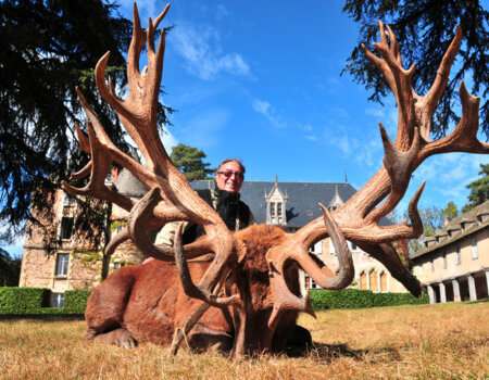 wta_2344_2011_6_Red stag_274-CIC-pts-477-SCI-pts-41 tines-Gold Medal_Martial S