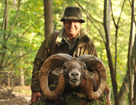 wta_2344_2015_16_Mouflon_230 CIC pts - 147 7--8 SCI pts - Gold Medal_Juan A. (1)