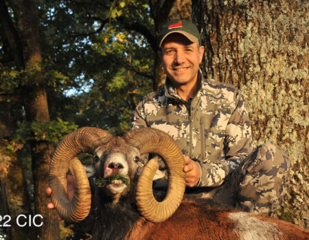 wta_2344_2015_20_Mouflon_222 CIC pts - 144 SCI pts- Gold Medal_Juan R.