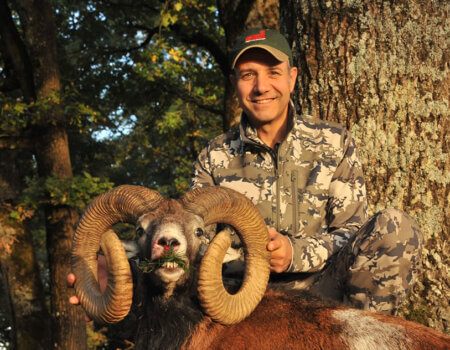 wta_2344_2015_20_Mouflon_222 CIC pts - 144 SCI pts- Gold Medal_Juan R.