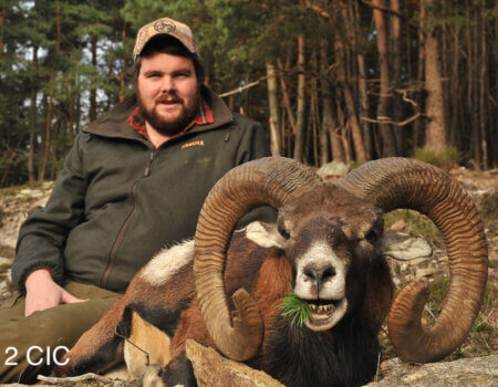 wta_2344_2015_33_Mouflon_212 CIC pts - 133 1--8 - Gold Medal_Duncan F. (1)