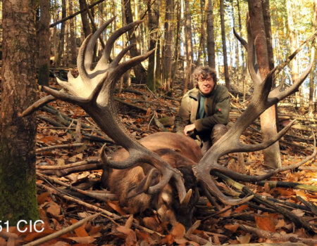 wta_2344_2015_37_Red Stag_251 CIC pts - 444 1--8 SCI pts - Gold Medal_Didier RR