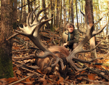 wta_2344_2015_37_Red Stag_251 CIC pts - 444 1--8 SCI pts - Gold Medal_Didier RR