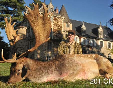 wta_2344_2016_10_Fallow Deer_201 CIC pts - 272 2_8 SCI pts - Gol Medal_Jerome P.
