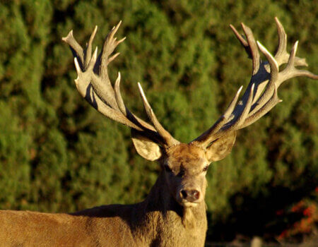 wta_2344_the-game-red-deer-3