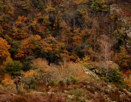 wta_2344_where-we-hunt-1