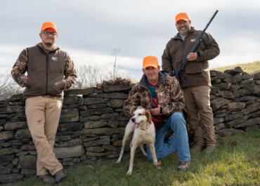 Authentic Quail Hunting in Kentucky’s Heartland