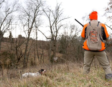 wta_2345_Sequence 01.00_00_35_14.Still002