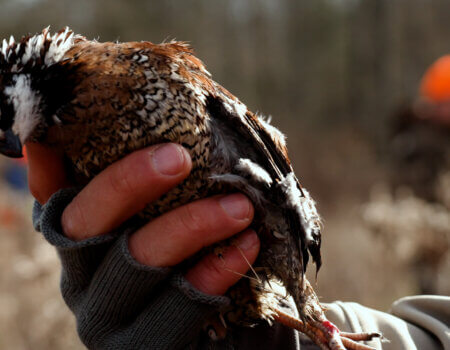 wta_2345_Sequence 01.00_01_20_28.Still013