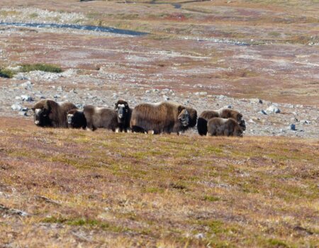 wta_2348_L1030654-1024x768