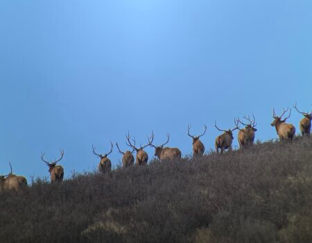 wta_2349_IMG_3350-1-scaled