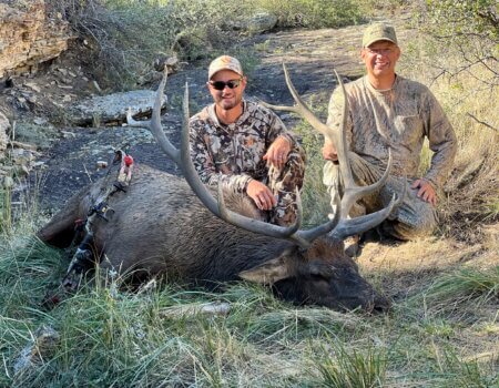 wta_2349_IMG_5330-1-scaled