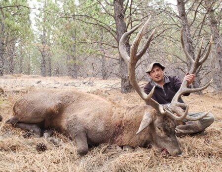 wta_2351_0609e4a8-4165-4b39-b49b-c4bc7fdcee0b