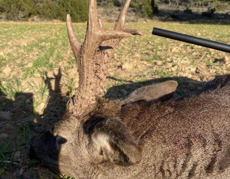 wta_2352_PHOTO-2023-09-14-10-39-21 11