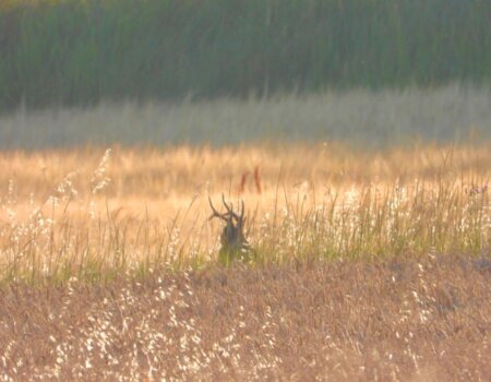 wta_2352_PHOTO-2023-09-14-10-39-21 6