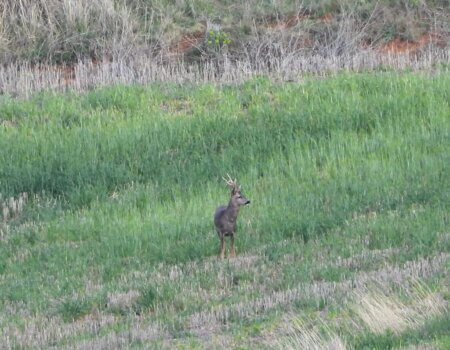 wta_2352_PHOTO-2023-09-14-10-39-21 7