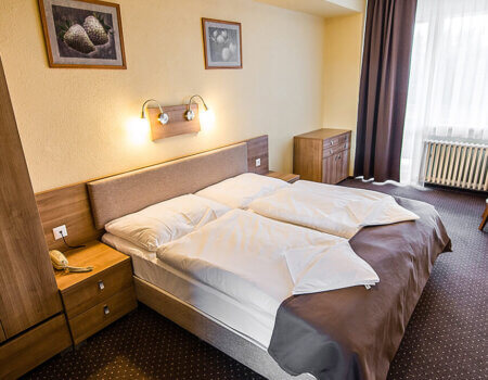wta_2353_1000x667-izba-standard-2-hotel-hviezda