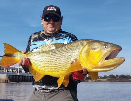 wta_2354_aac2d368-5354-4d83-bf9d-05ba105f6a3c