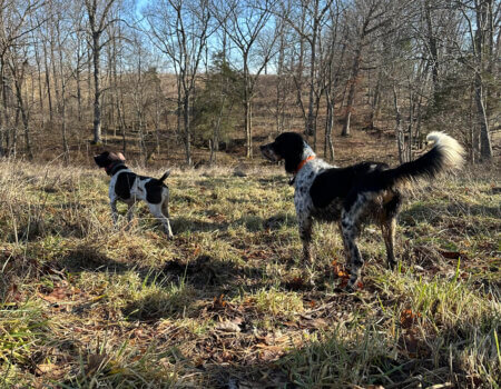 wta_2604_unnamed (22)