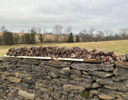 wta_2604_unnamed (23)