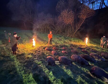 WhatsApp Image 2025-08-18 at 19.27.49 (2)